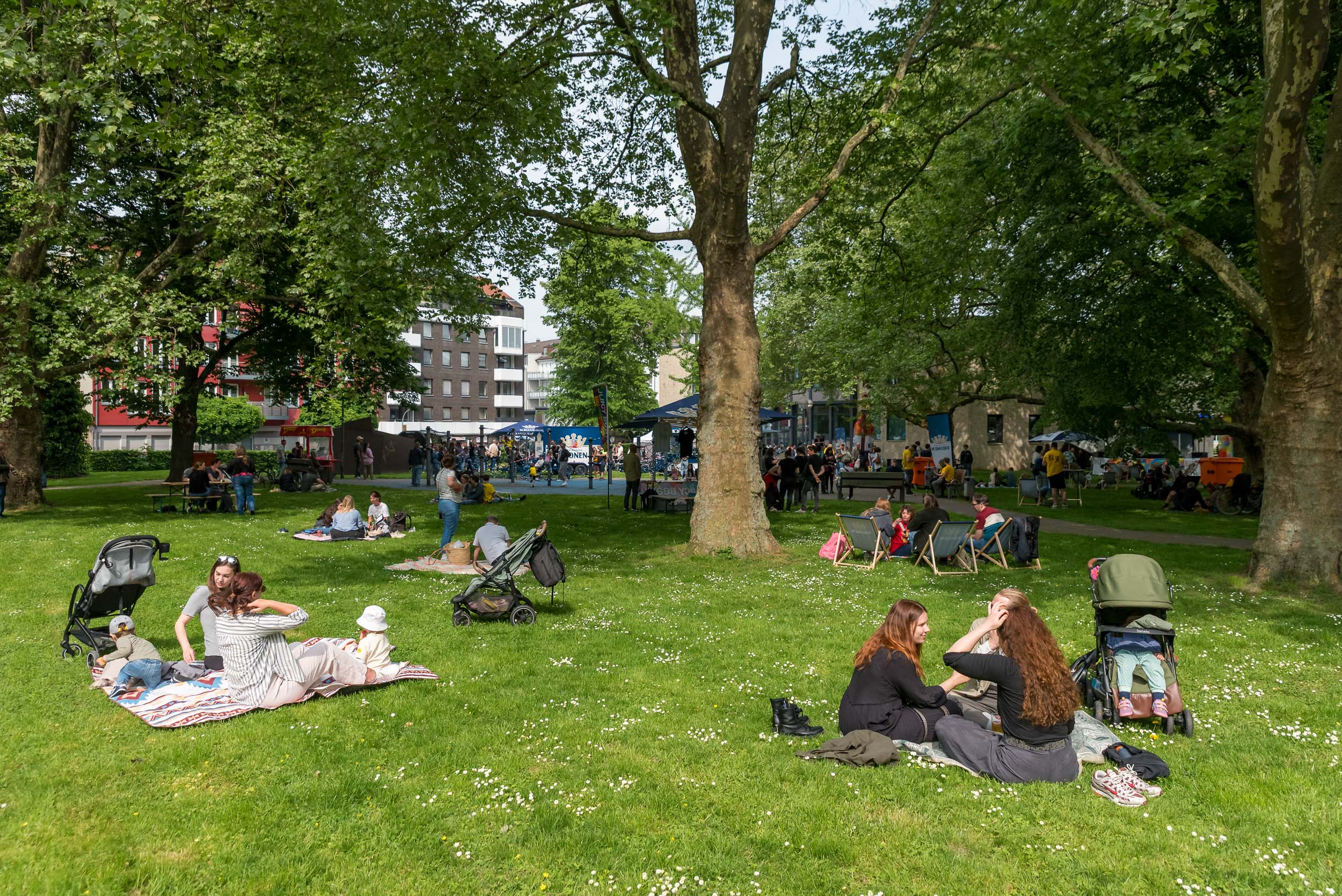 Eine grüne Wiese, auf der viele Menschen Picknick-Gruppen bilden.